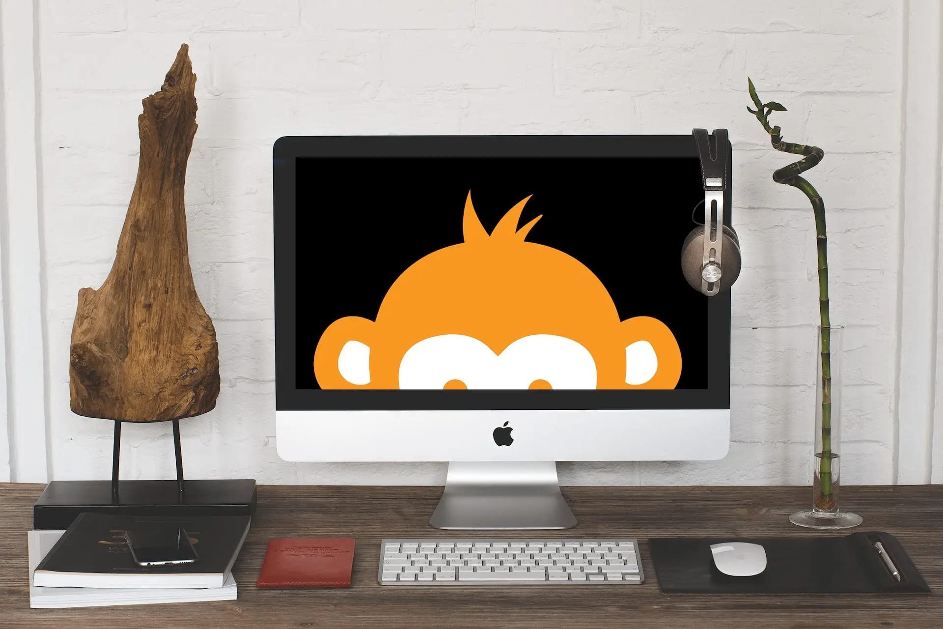 Scruffymonkey Website Design Bolton - Monkey desktop