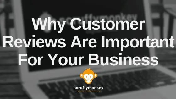 customer reviews